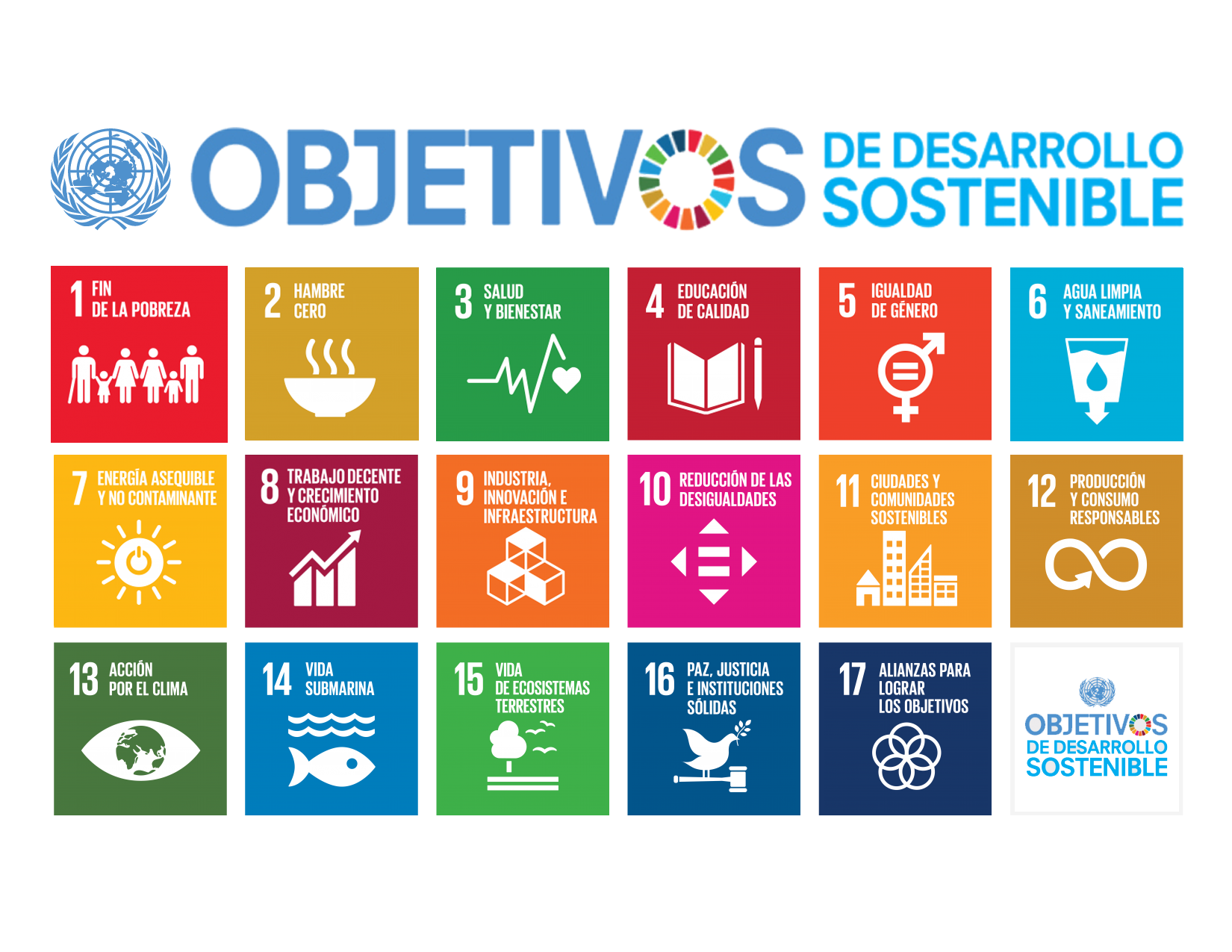 ¿Qué son los ODS y cómo los implementamos en las empresas?