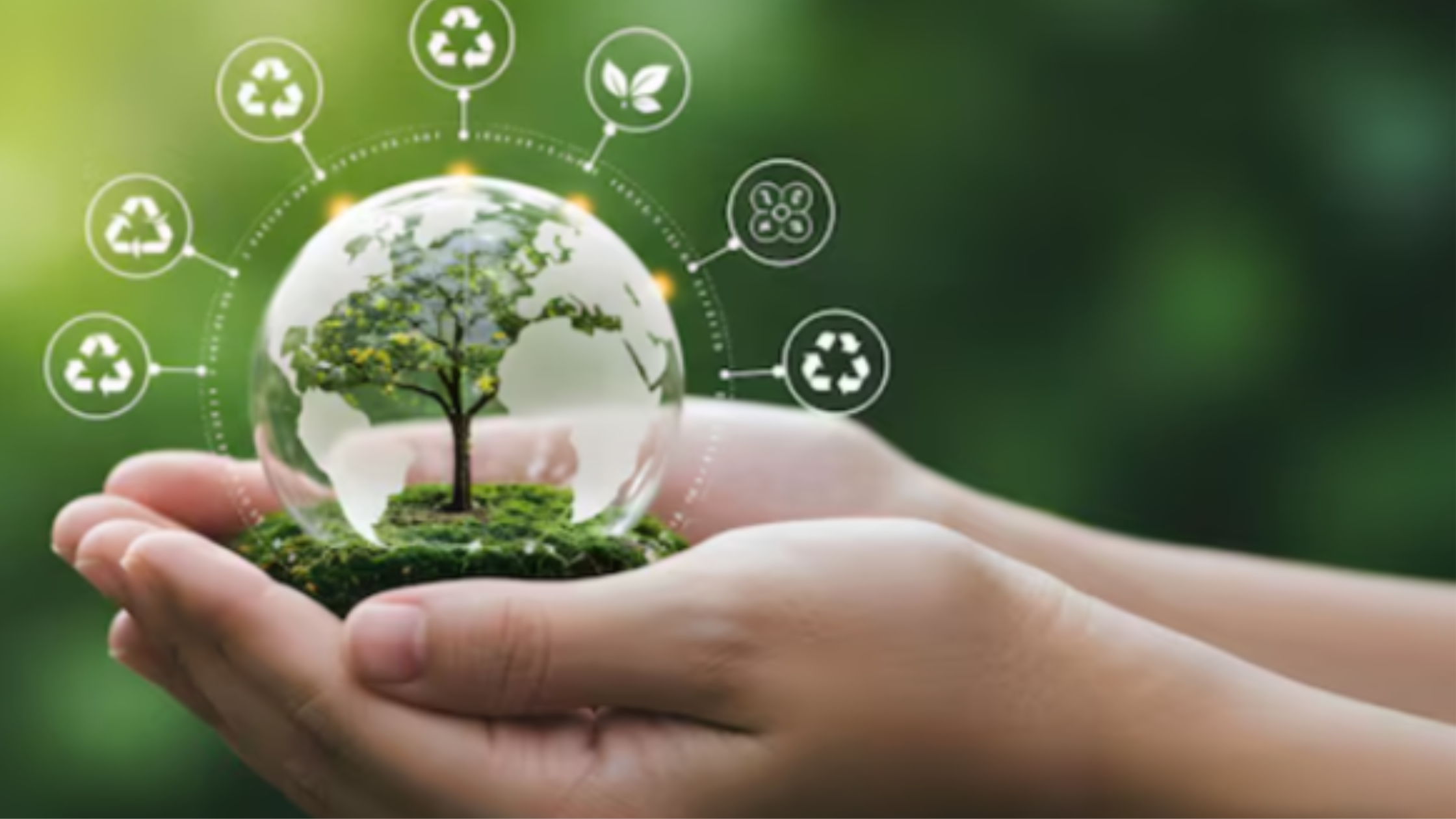 Sostenibilidad: un proceso dinámico para equilibrar el presente y el futuro