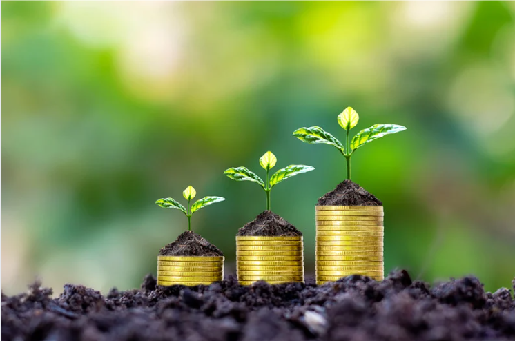 Fondos Concursables: Oportunidades de Financiamiento y Claves para una Postulación Exitosa