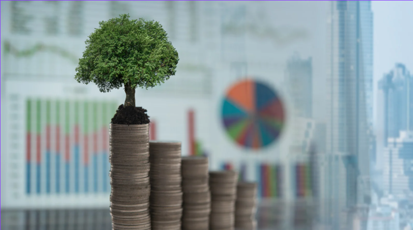 Financiamiento: Una Herramienta Estratégica para el Crecimiento y la Sostenibilidad