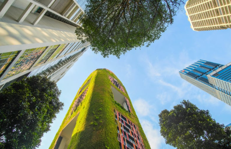 La importancia de la estructura en los proyectos sostenibles